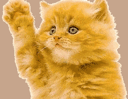 Kitten_waving_tan.gif