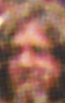 ted_br14.jpg