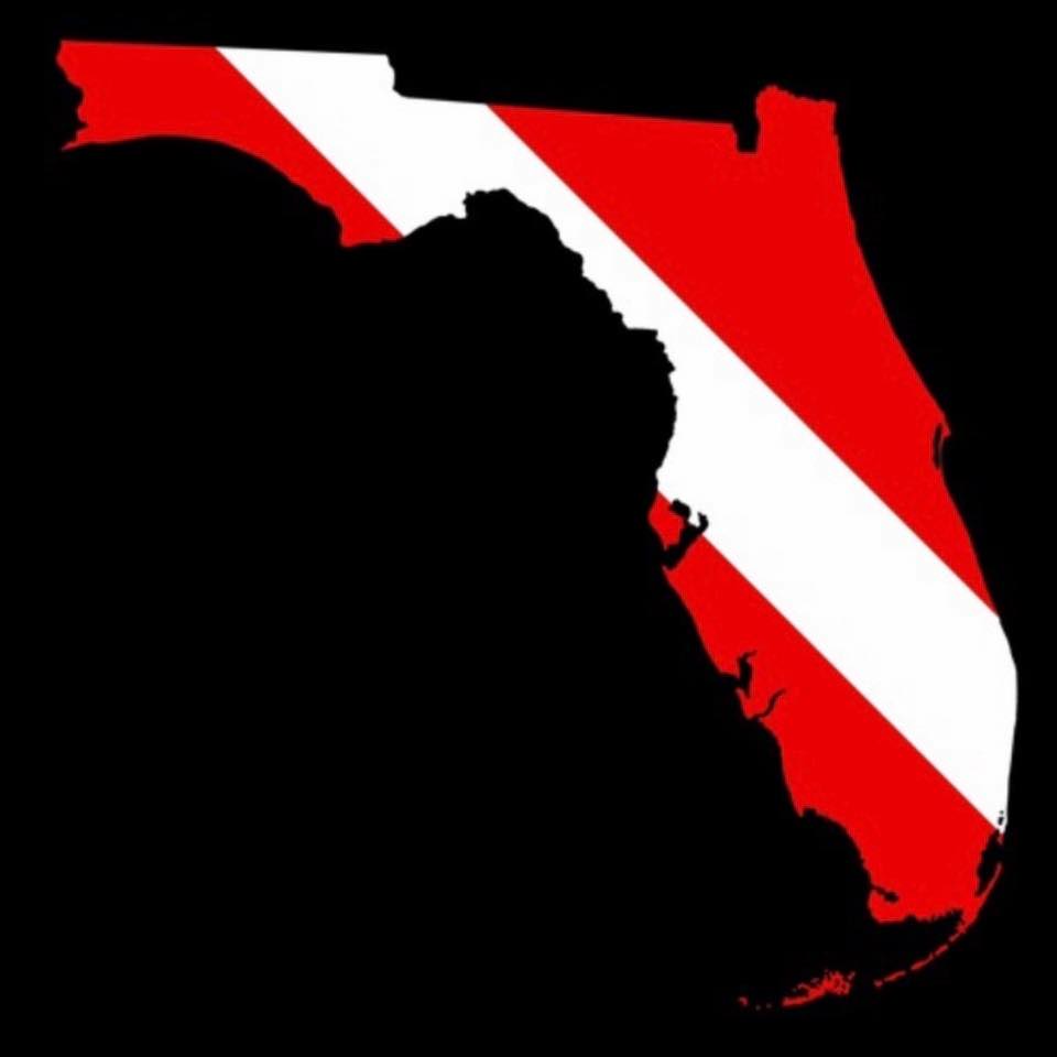 sunshinestatesonar.com