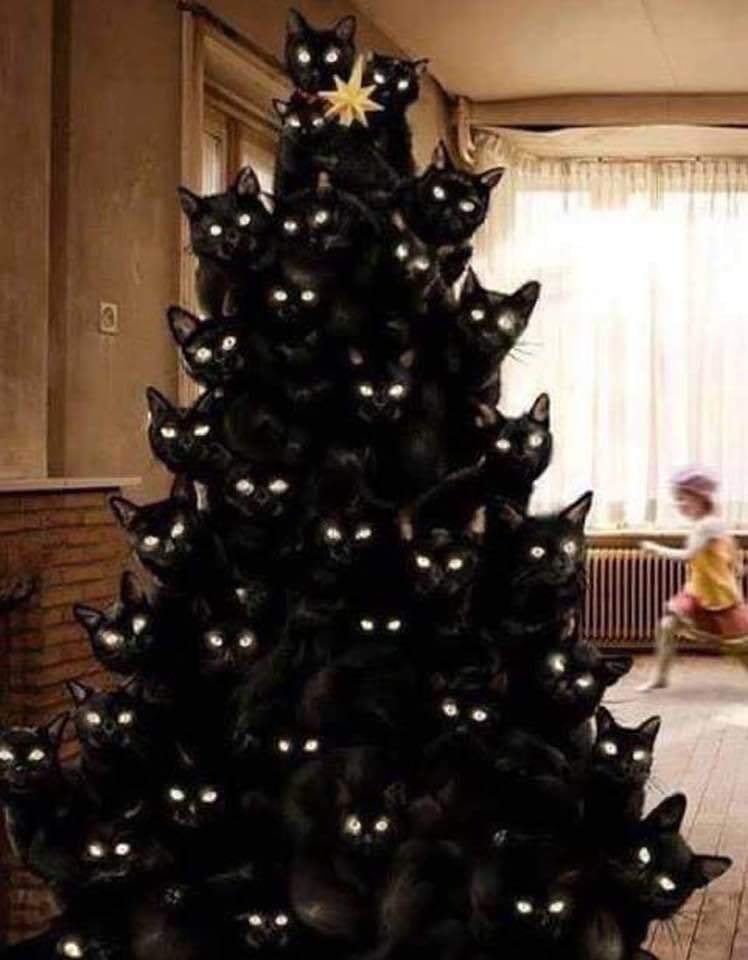 black-cat-tree-jpg.325858