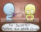 brain.jpg
