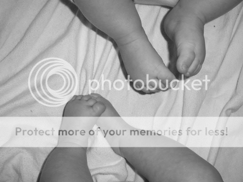 Mybabies058.jpg