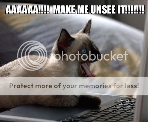 lol-cats_Make-Me-Unsee-It.jpg