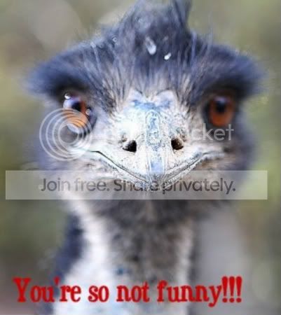Youresonotfunny.jpg