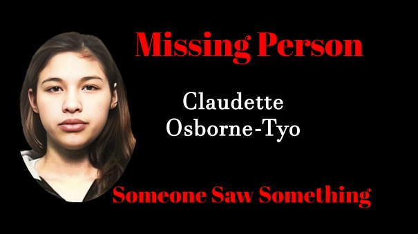 someonesawsomething.ca