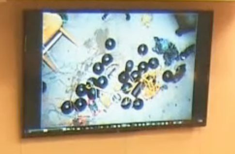 CEg9l1qW0AAEyKb.png:large