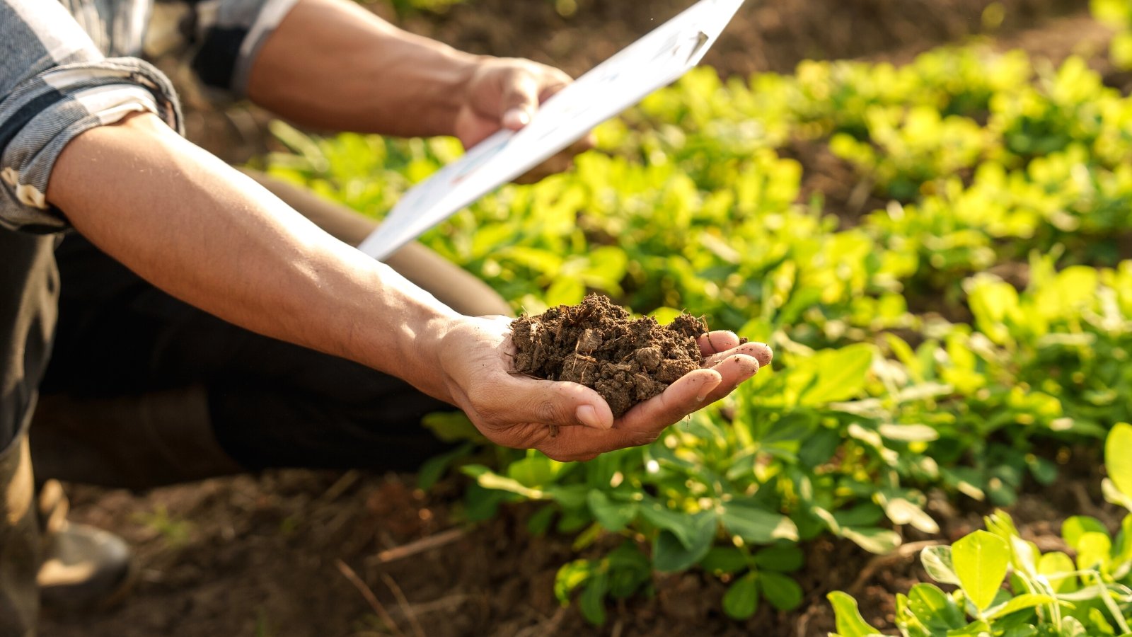 www.epicgardening.com