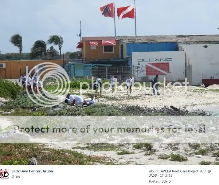 backrumreef.jpg