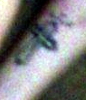 rau_presley_tattoo3.jpg