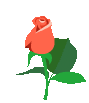 rose-1-1.gif