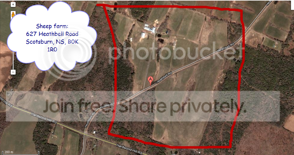 SheepfarmHeathbellRoad.png