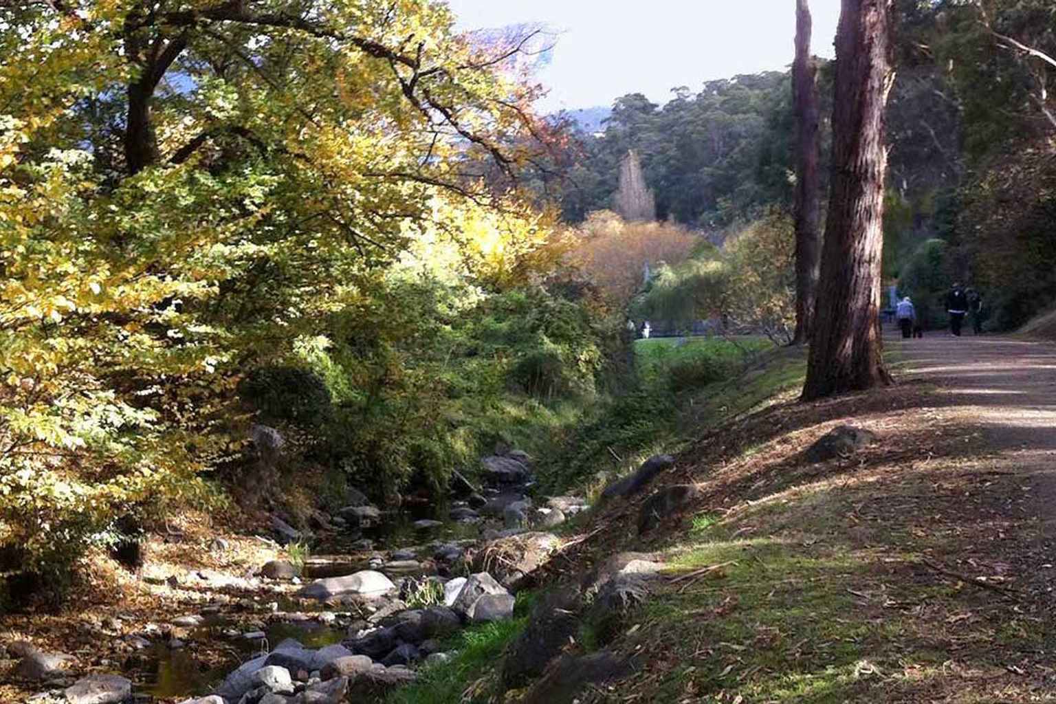 pulsetasmania.com.au