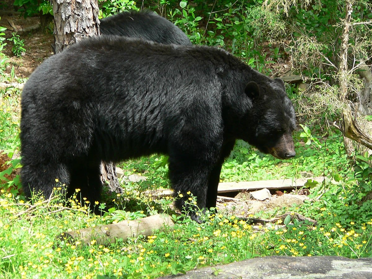 naturens.ca