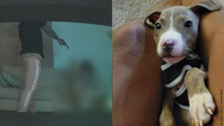 puppythiefdip_atlantapd_750x422.jpg