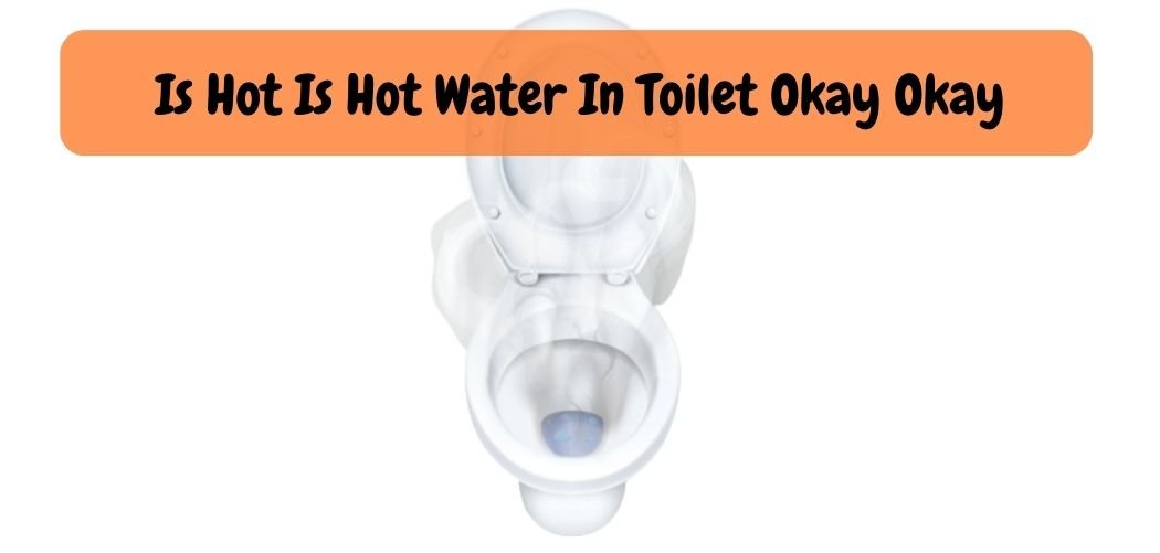 toiletlife.com