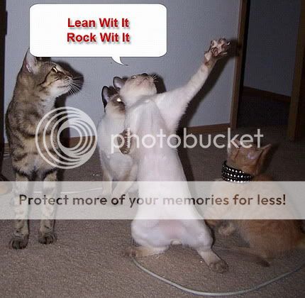 funny-dancing-cats.jpg