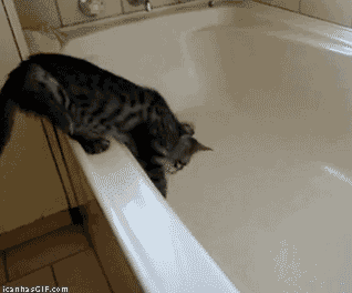 oMev4p4.gif