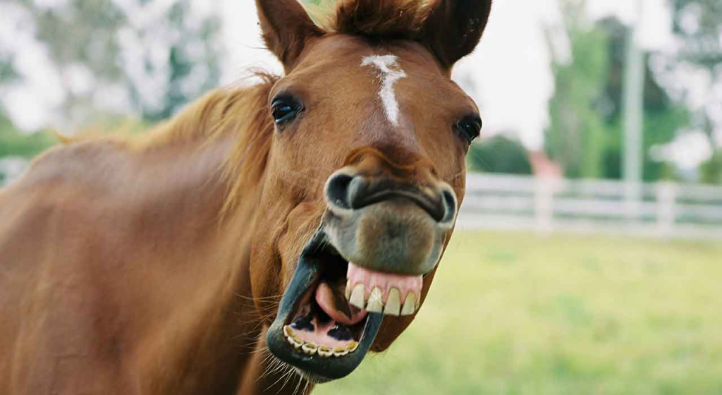 upload_2021-8-31_0-34-1-png.310759