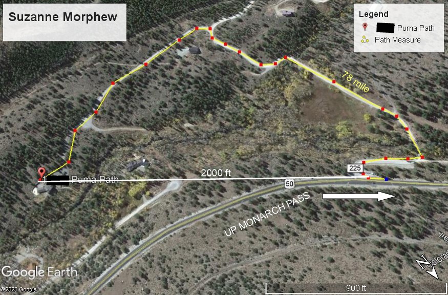 suzanne-search-area-jpg.247034