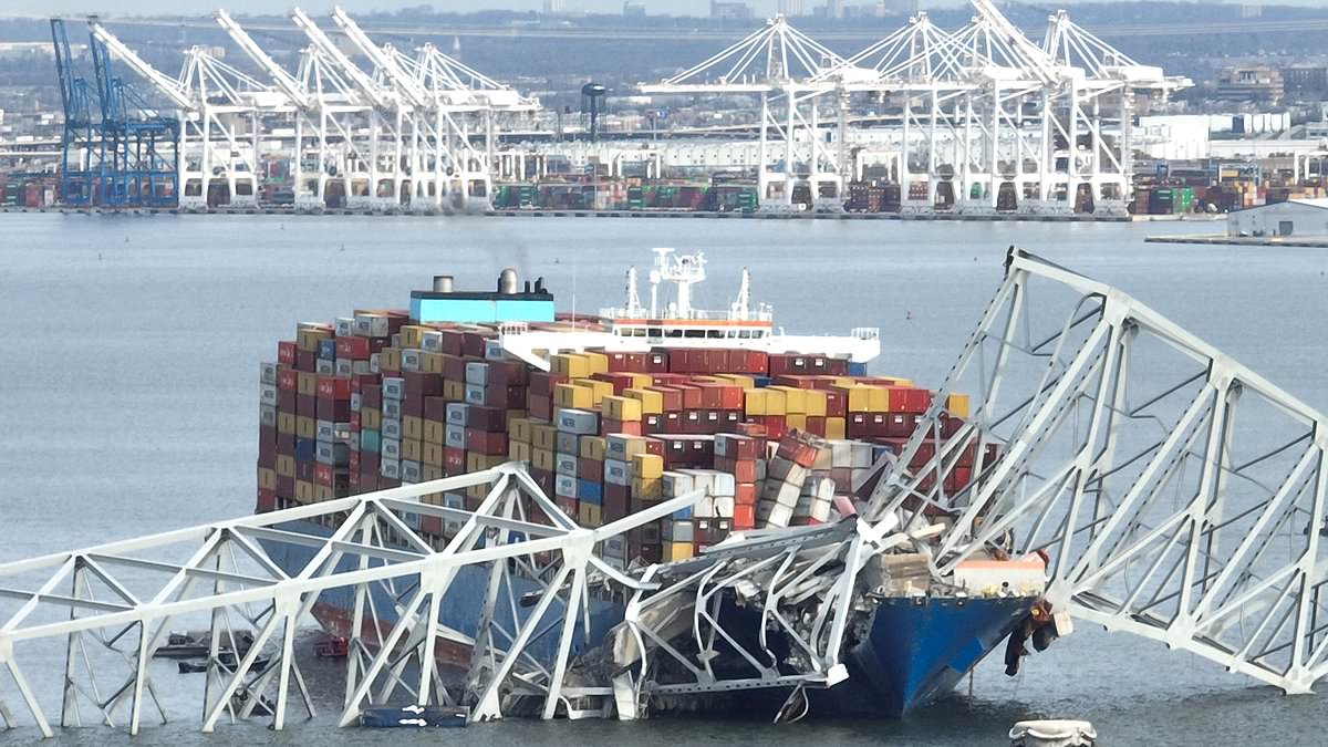 www-dailymail-co-uk.cdn.ampproject.org