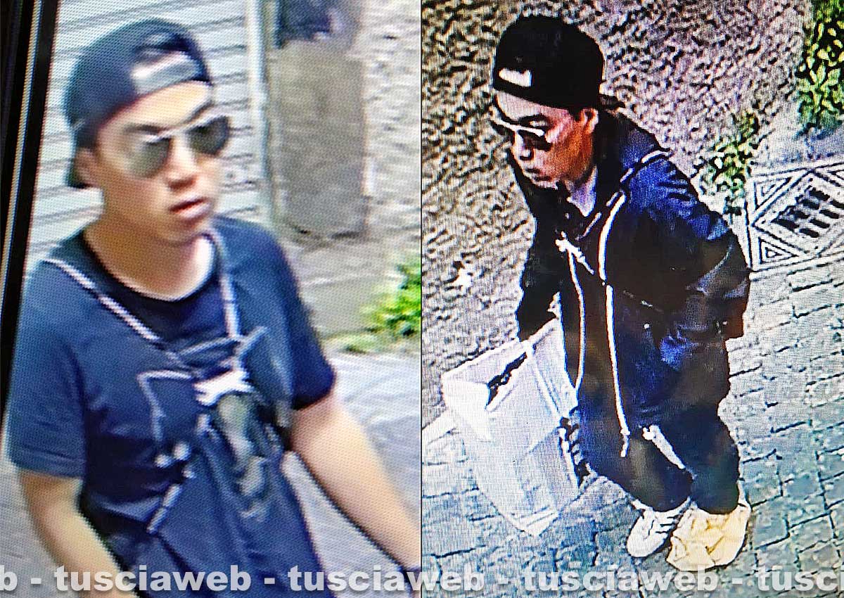 www-tusciaweb-eu.translate.goog