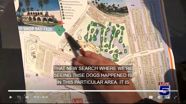 search-area.jpg