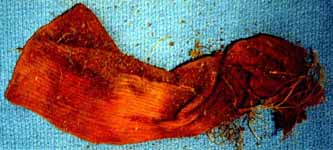 1369UMVA5.jpg