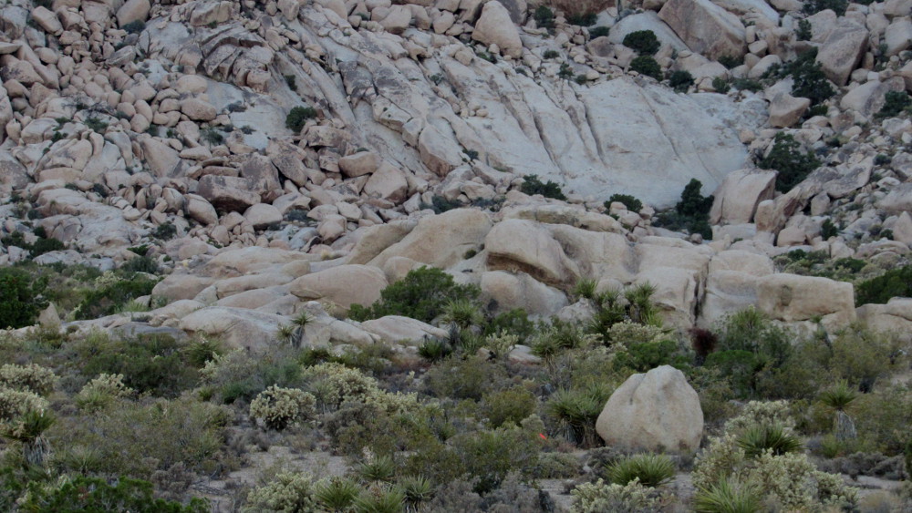 mojave-missing-029-jpg.194688