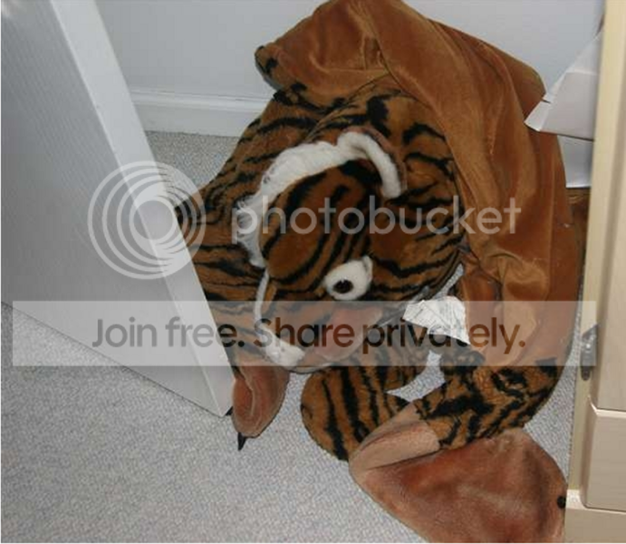 tigerrug.png