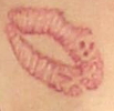 segorski_shannon_tattoo2.jpg