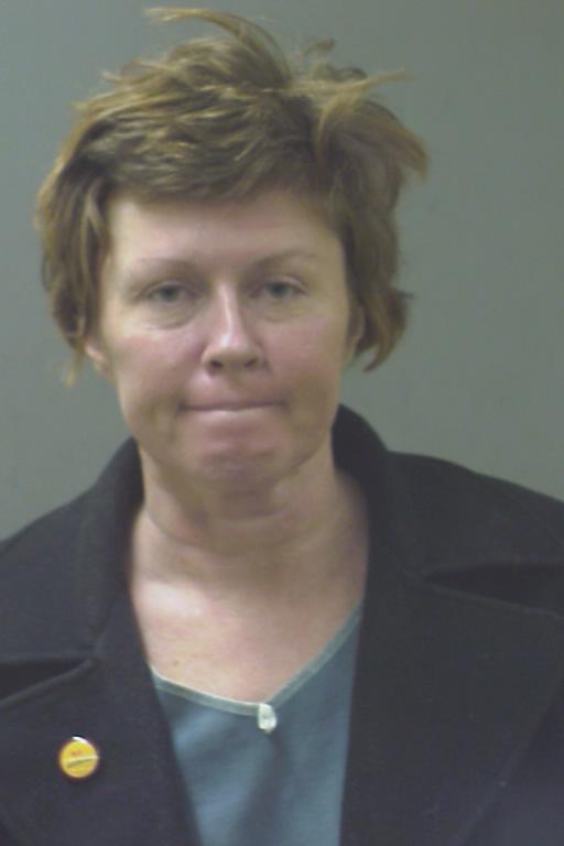 cookcountysheriffil.gov