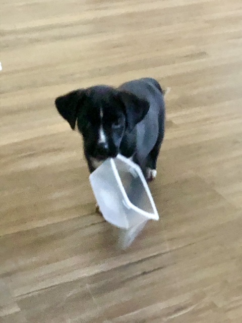 047d0f4c-7a92-4f59-93eb-113205e1cd6e-jpeg.293504