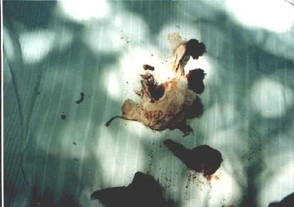 bag1-1.jpg
