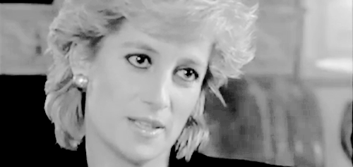 tumblr_nntd94qg291swv4gbo3_500.gif