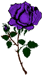graphics-roses-930925.gif