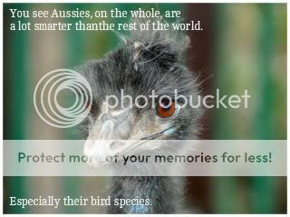 emu_7061-6.jpg