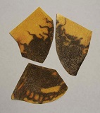 1767UFMI3.jpg