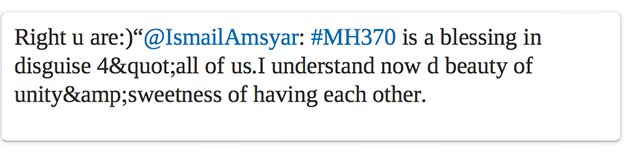 malaysia_tweet_minister638.jpg
