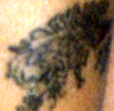 risha_aleena_lewis_7.jpg