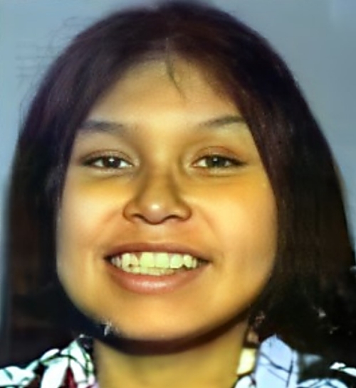 someonesawsomething.ca