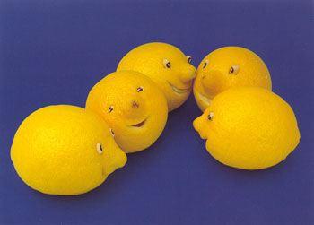 lemons.jpg