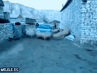 tumblr_lypzupfTtR1qigfjto1_400.gif