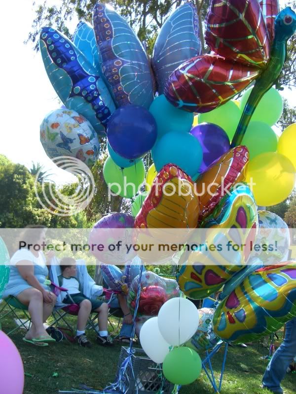 blnbtfly3.jpg