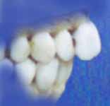 205UFCA4.jpg