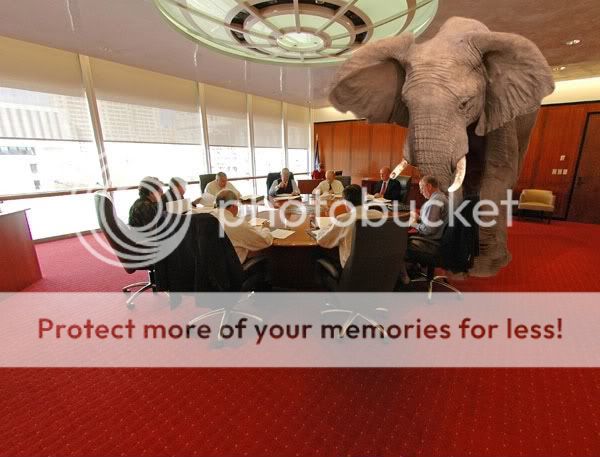 elephant-in-the-room.jpg