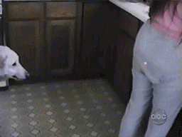 1243780524_ass-bite.gif