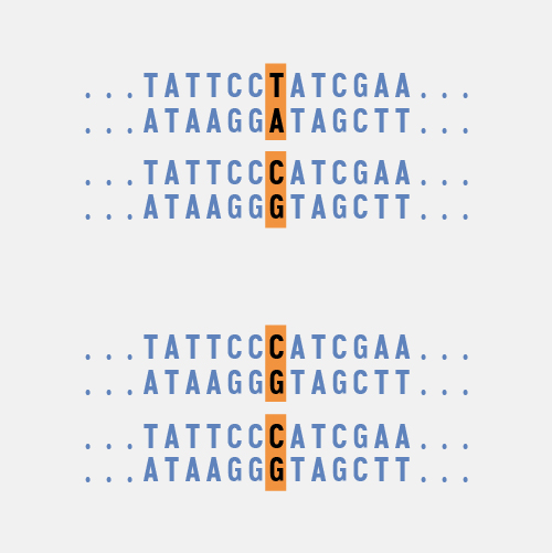 www.genome.gov