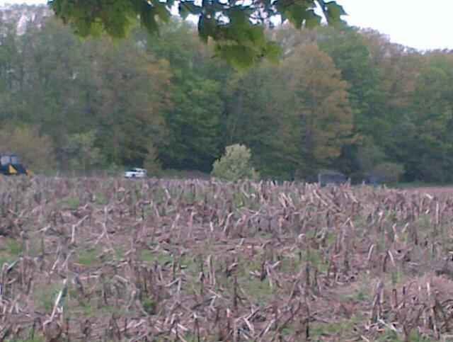 BKudbEwCYAIdQsz.jpg:large