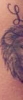 comeaux_brock_tattoo.jpg