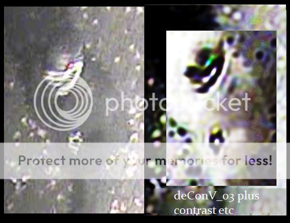 Interleave_14.jpg